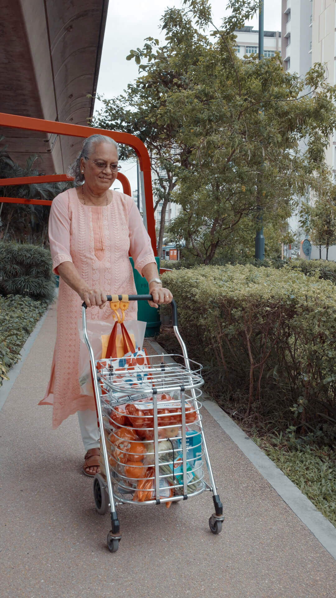 Shopping cart